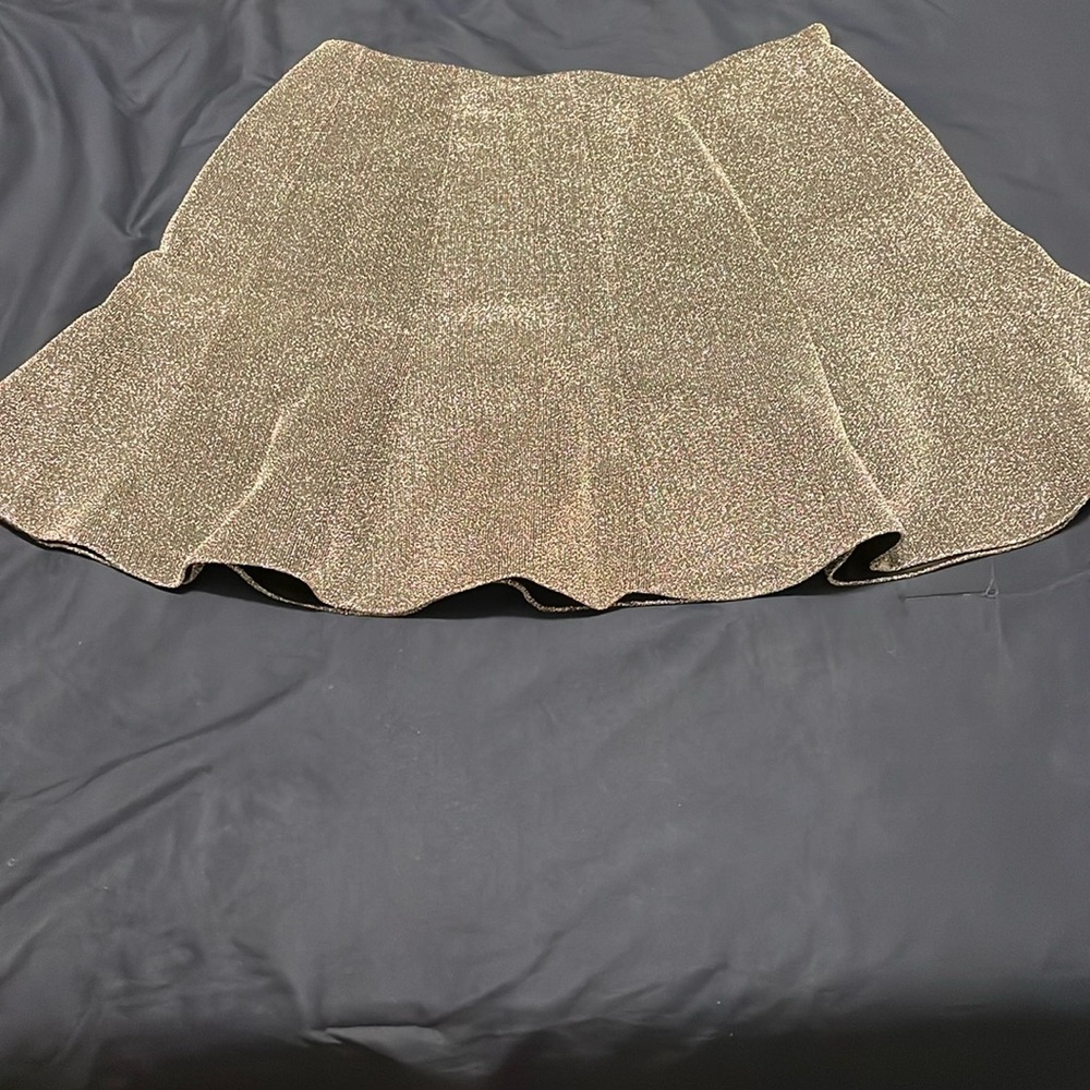 Express Mini Skirt
